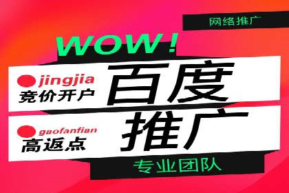 某电商平台的成功案例：信息流优化师的策略与成果